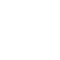专业的